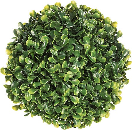 palla di bosso d18, verde