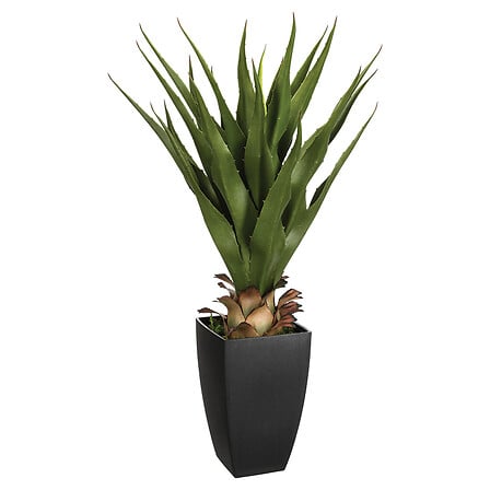 rettangolo di agave h73, verde
