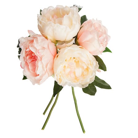 bouquet 4 peonia rosa h30, rosa
