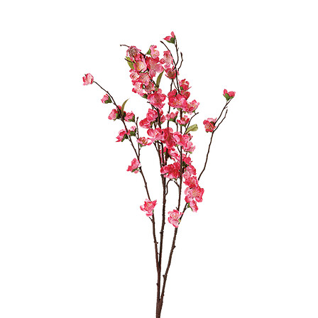 gambo fiore di ciliegio h110 x3, 2- volte assortit