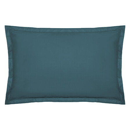 federa anatra 50x70, anatra blu