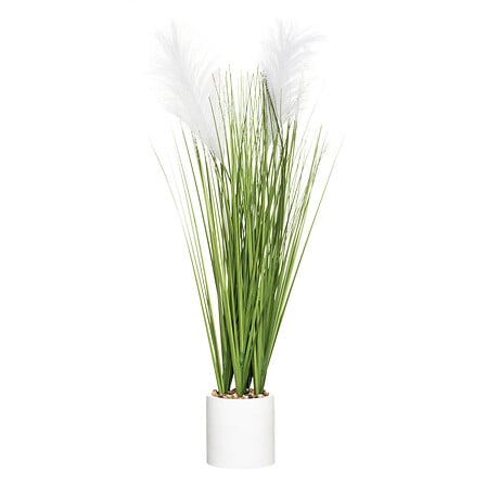 spolverino portavaso cim h70, 2- volte assortito ,