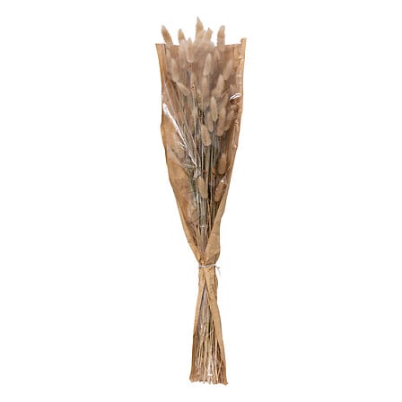 ori bouquet di coda di coniglio h58, avorio