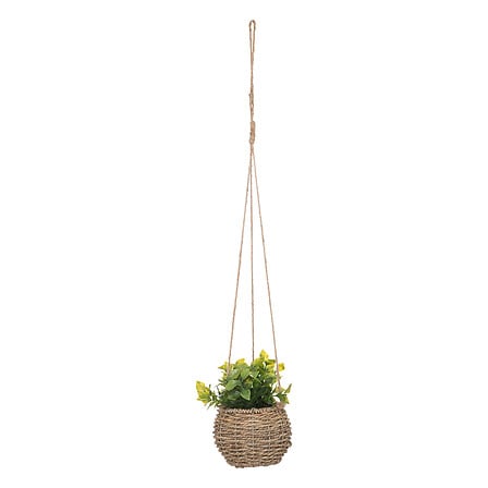 pianta pensile naturale zoe h17 box, 3 volte as