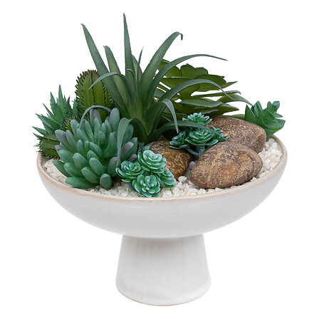 pianta succulenta in ceramica reac sol h20, bianca