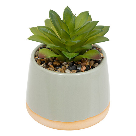 succulenta in ceramica reac bev piatti h12, 3-f