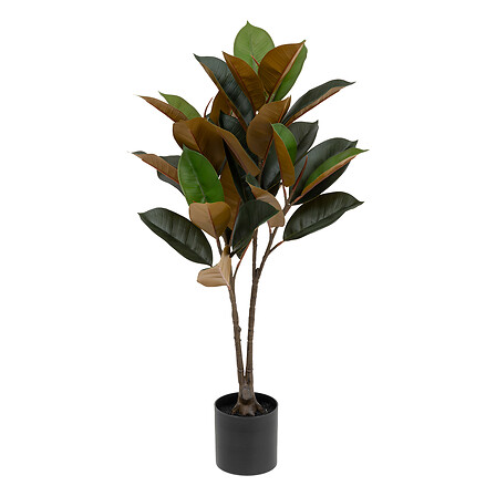 Magnolia bev h78 vaso in plastica, verde