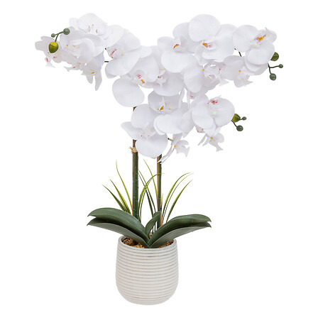 vaso in ceramica orchidea riva h60, bianco