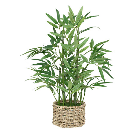 vaso in bambù naturale ly h46, verde