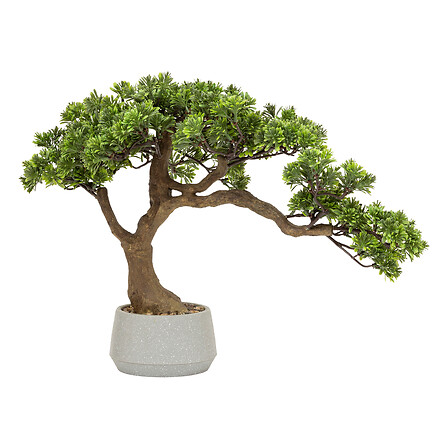 vaso bonsai in ceramica Polin h45, verde