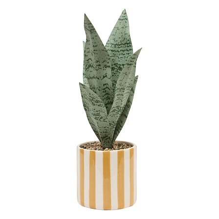 vaso in ceramica sansev cheri piatti h38, asso 3 v