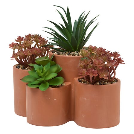 vaso per piante grasse terra wonj h20, terracotta
