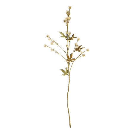 stelo sanicula fria h67, 3- volte assortito, color