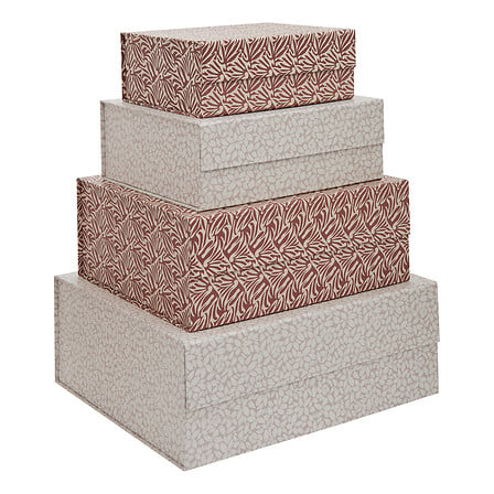 x4 magnetbox gardenia, multicolore