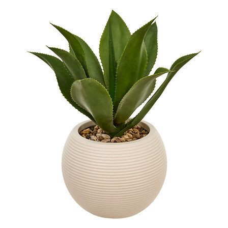 Vaso in agave bianca, alto 51 cm, verde